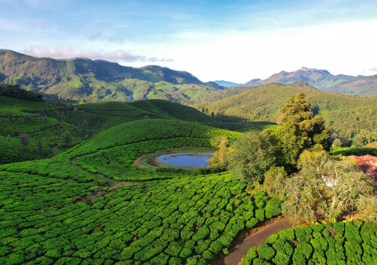 Arivikad Tea Bungalow Munnar By Voye Homes Suryanelli Bagian luar foto