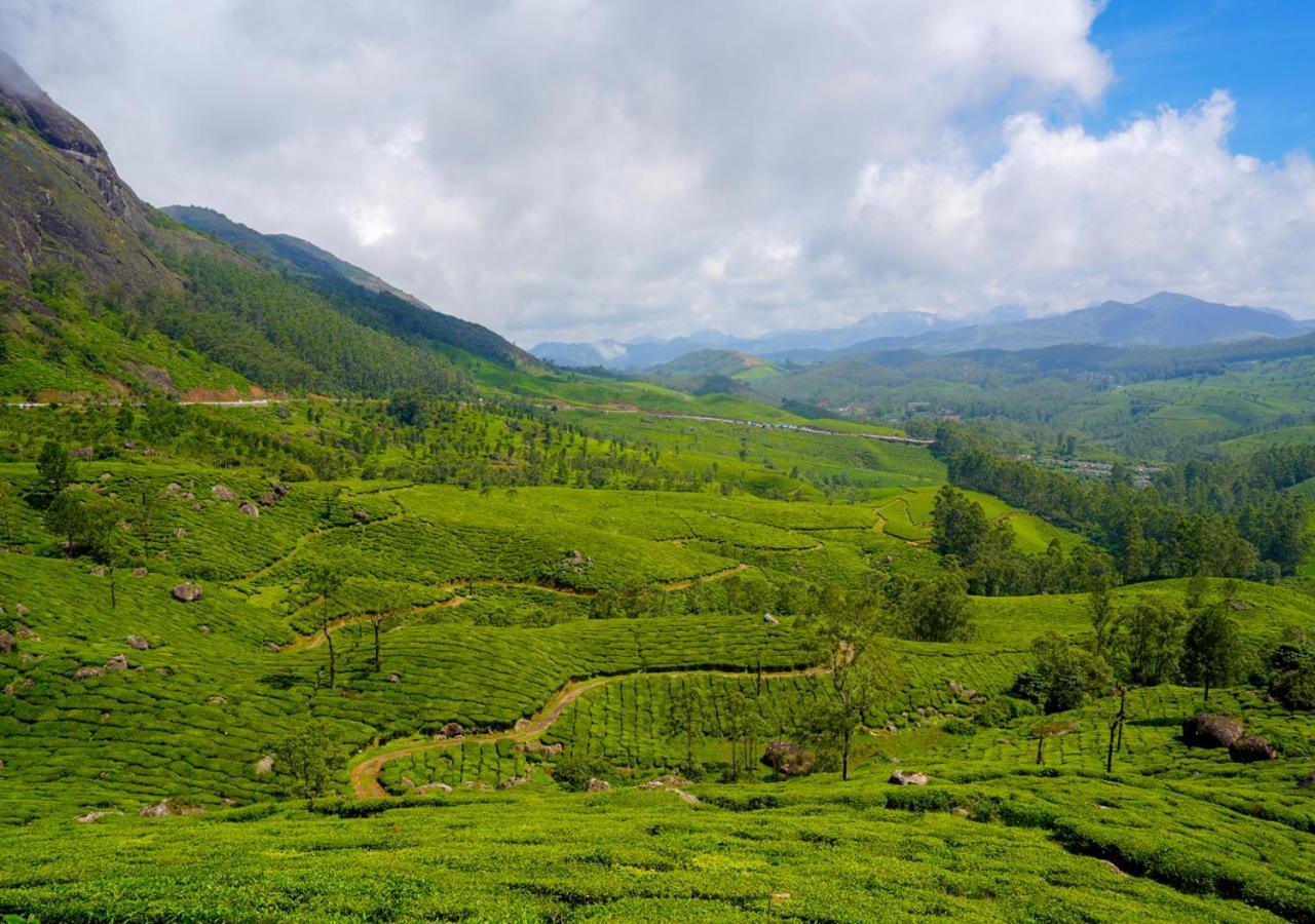 Arivikad Tea Bungalow Munnar By Voye Homes Suryanelli Bagian luar foto