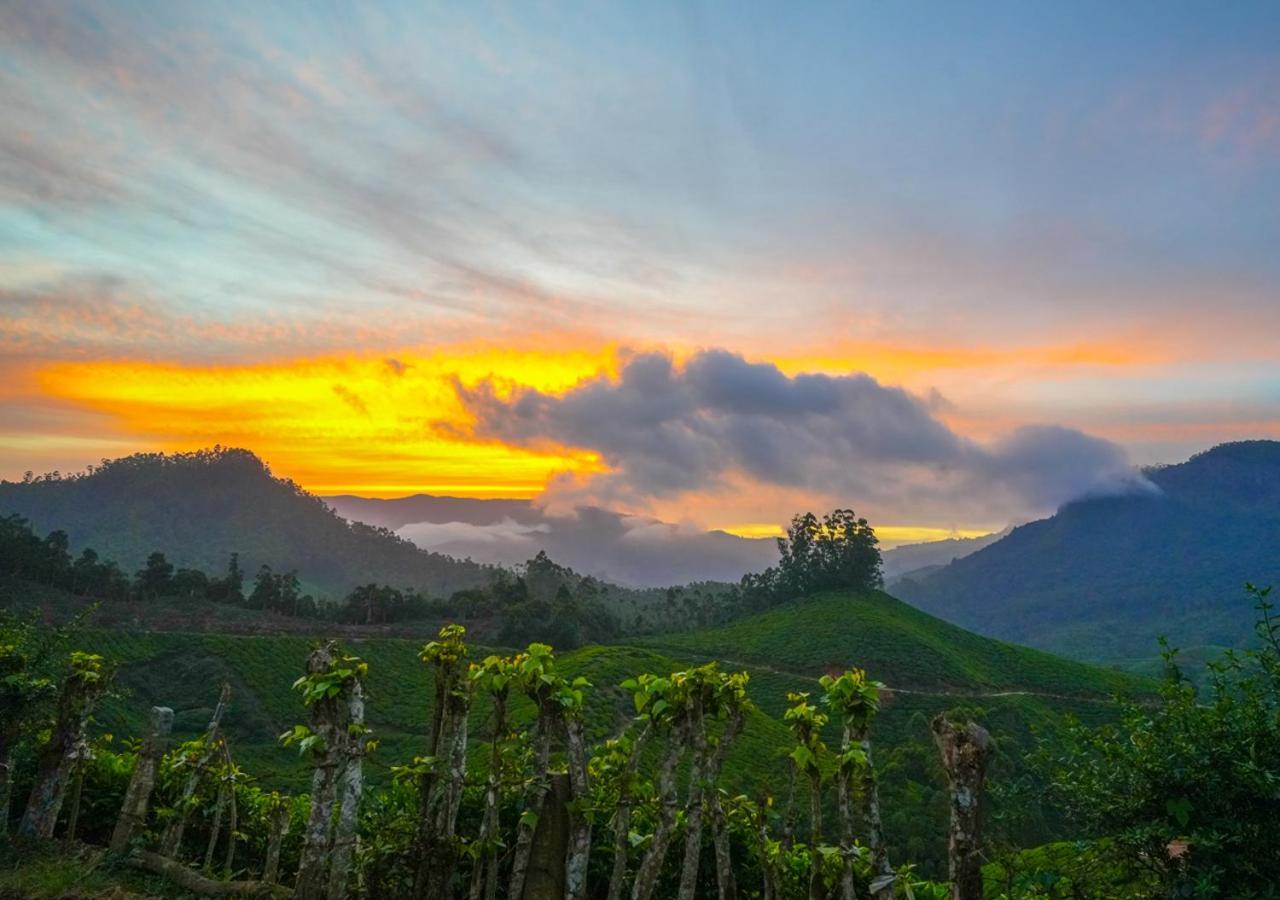 Arivikad Tea Bungalow Munnar By Voye Homes Suryanelli Bagian luar foto